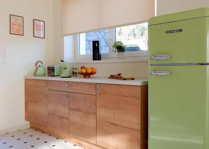 Sejour Mid-century Au Val-d'ajol Avec Parking Et Animaux Bienvenus - Fr-1-589-846 Holiday home *