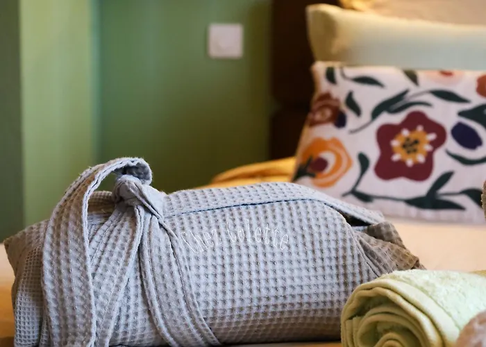 Sejour Mid-century Au Val-d'ajol Avec Parking Et Animaux Bienvenus - Fr-1-589-846 *