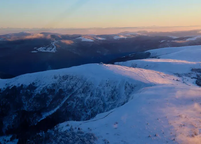 Sejour Mid-century Au Val-d'ajol Avec Parking Et Animaux Bienvenus - Fr-1-589-846